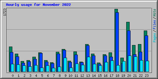 Hourly usage for November 2022