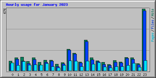 Hourly usage for January 2023